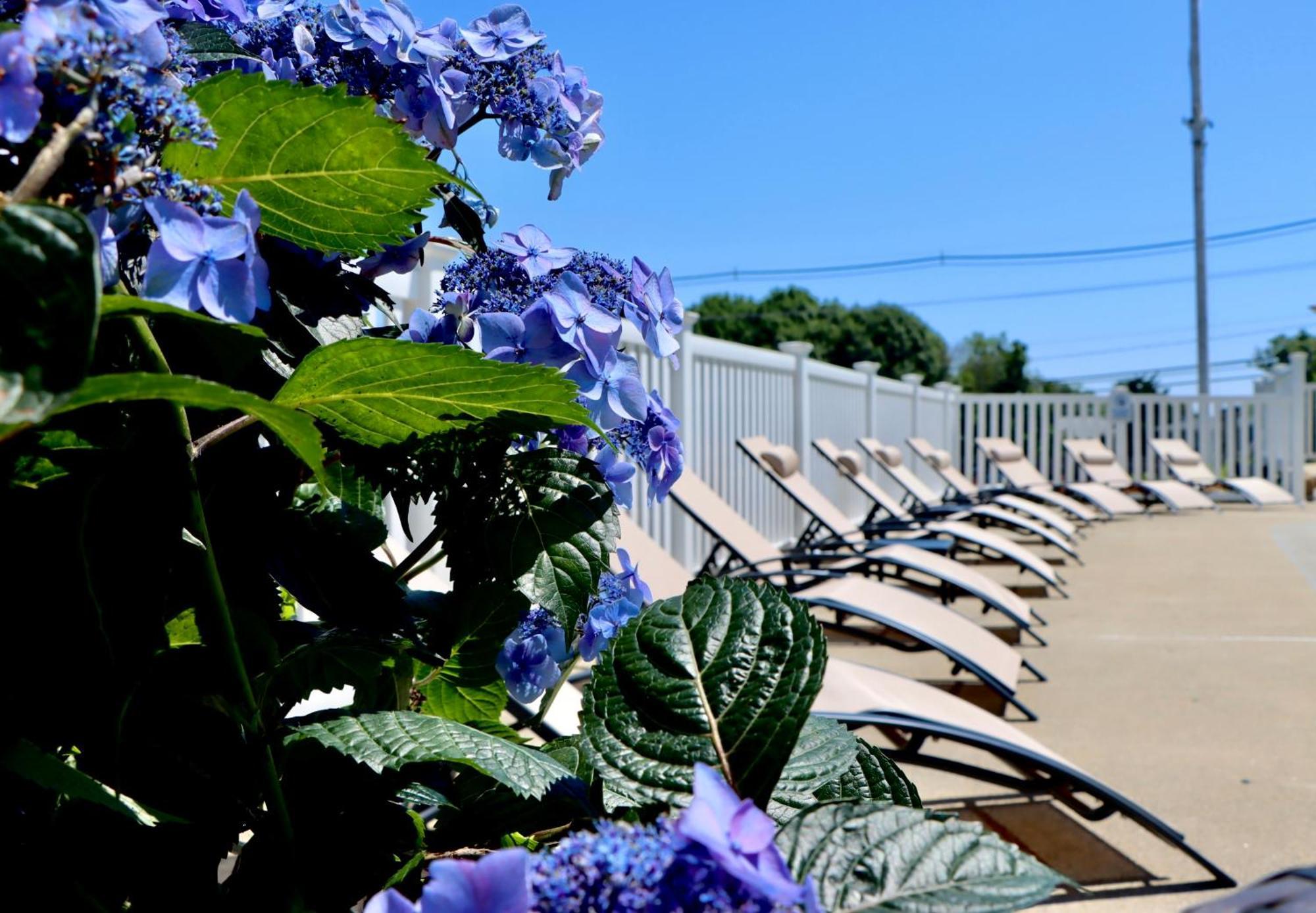 Sea View Motel Ogunquit Exterior photo